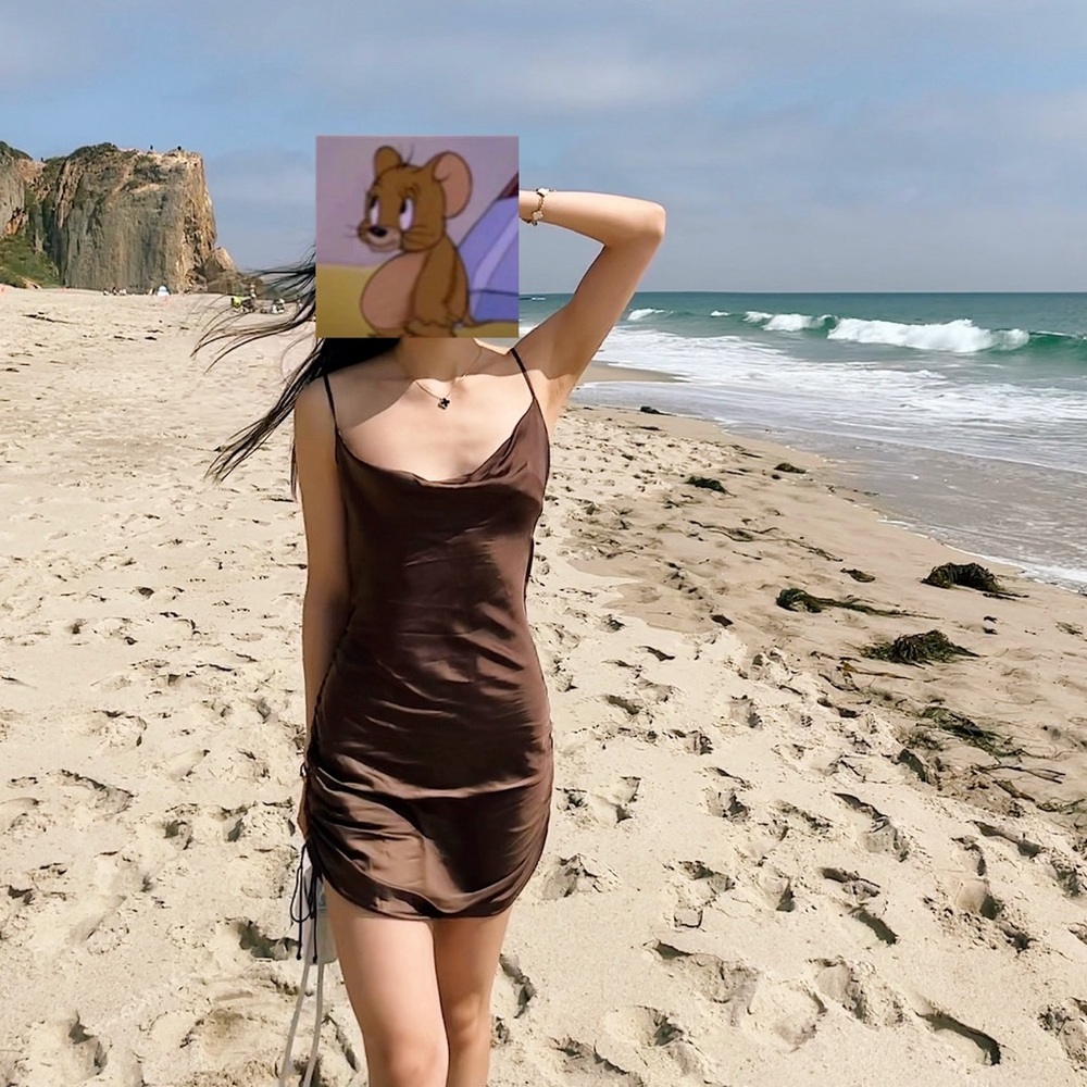 aritzia satin brown dress